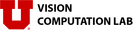 VISION COMPUTATION LAB Logo